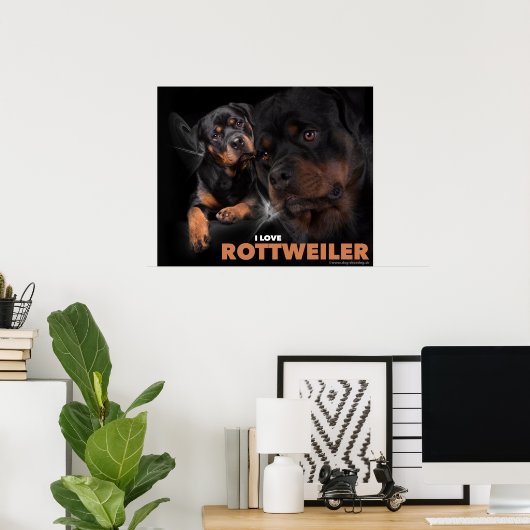 Poster Rottweiler (Bureau à domicile)