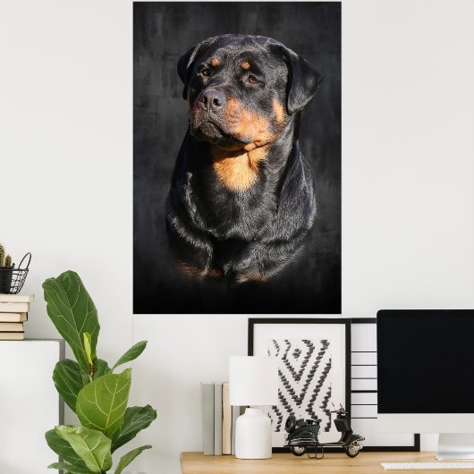 Poster Rottweiler (Bureau à domicile)