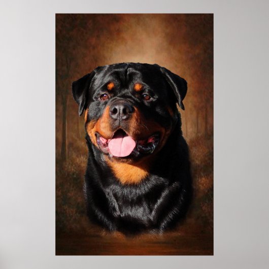Poster Rottweiler (Devant)
