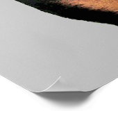 Poster Rottweiler (Coin)