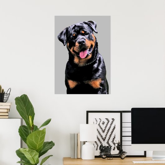 Poster Rottweiler (Bureau à domicile)