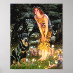 Poster Rottweiler (#3) - Mid Eve