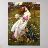 Poster Rottweiler (#5) - Fleurs blanches (Devant)