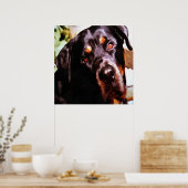 Poster Rottweiler Artistic Pet (Cuisine)