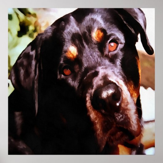 Poster Rottweiler Artistic Pet (Devant)