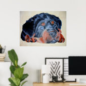 Poster Rottweiler Chiot Artistique Portrait pour Animaux (Bureau à domicile)