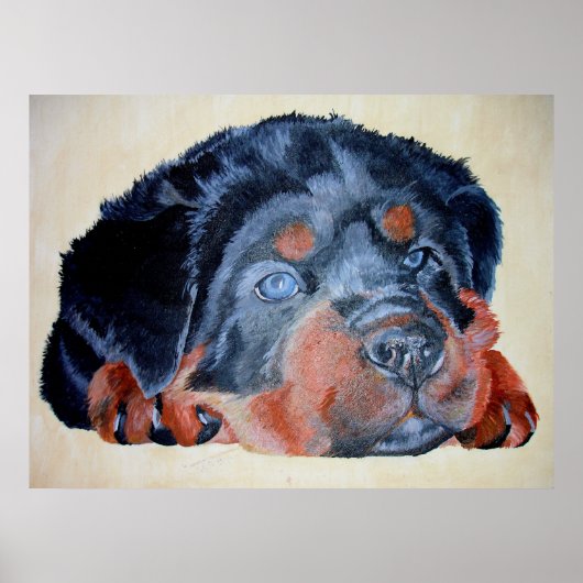 Poster Rottweiler Chiot Artistique Portrait pour Animaux (Devant)