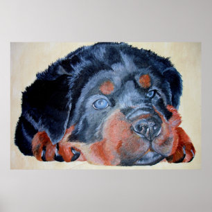 Poster Rottweiler Chiot Artistique Portrait pour Animaux