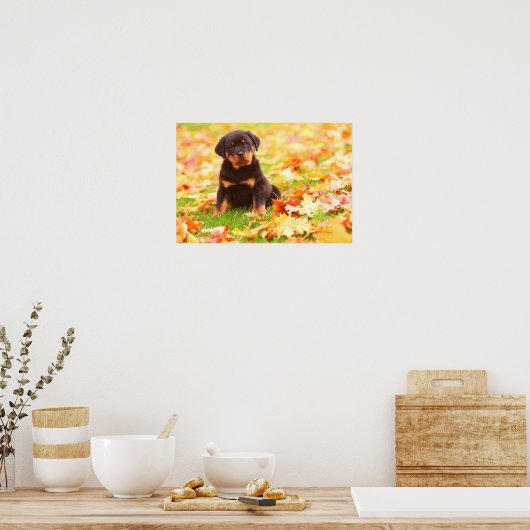 Poster Rottweiler Chiot Assis Dans Les Feuilles D'Automne (Cuisine)