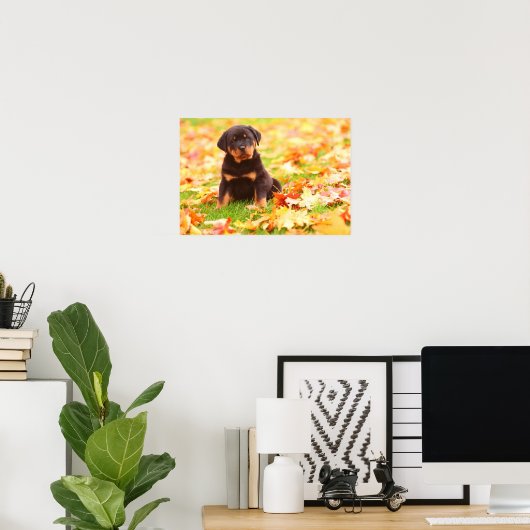 Poster Rottweiler Chiot Assis Dans Les Feuilles D'Automne (Bureau à domicile)