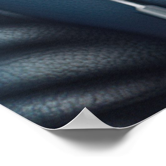 Poster Rottweiler Hipster Chien (Coin)