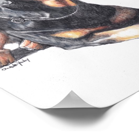 Poster Rottweiler Laying Dog Art Print (Coin)