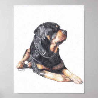 Poster Rottweiler Laying Dog Art Print