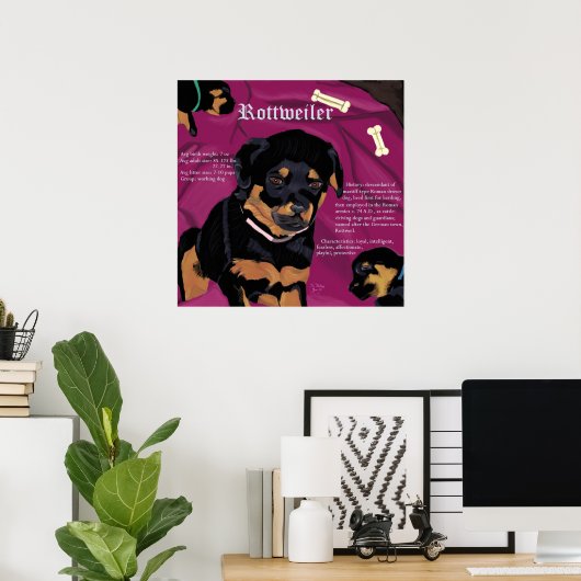 Poster Rottweiler Pup (Bureau à domicile)