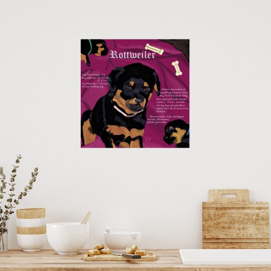 Poster Rottweiler Pup (Cuisine)