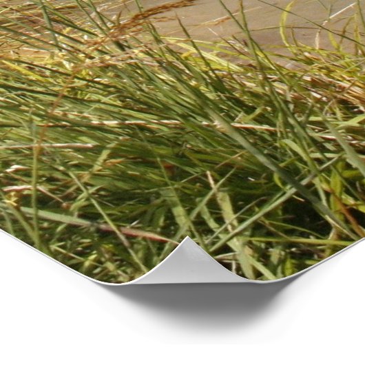 Poster Roue à eau (Coin)