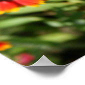 Poster Roue à feu - Fleur sauvage Sundance (Coin)