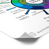 Poster Roue d'amélioration de l'alphabétisation sanitaire (Coin)