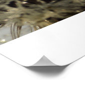 Poster Roue de gouttelettes - Dandelion avec gouttelettes (Coin)