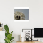 Poster Roue de gouttelettes - Dandelion avec gouttelettes (Bureau à domicile)