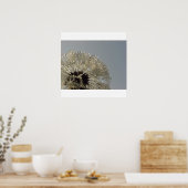 Poster Roue de gouttelettes - Dandelion avec gouttelettes (Cuisine)