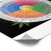 Poster Roue de saveur (Coin)