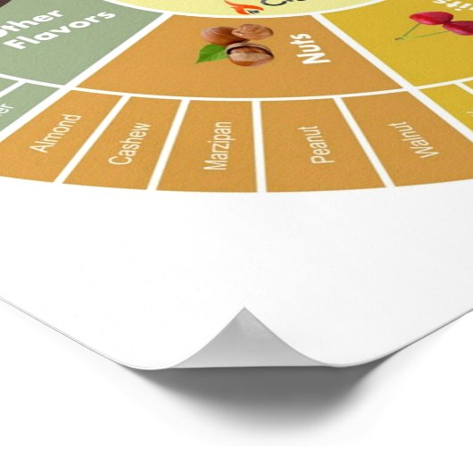 Poster Roue de saveurs de cigar (Coin)