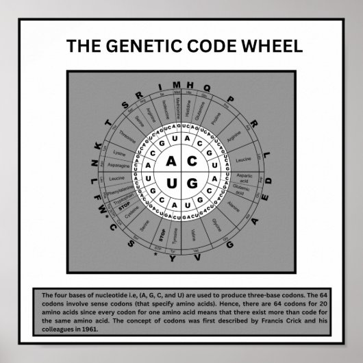 Poster Roue du code génétique (Devant)