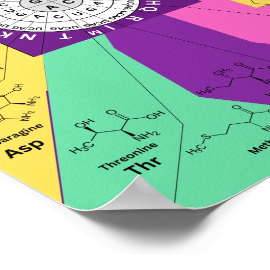 Poster Roue génétique du diagramme de codon des acides am (Coin)