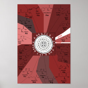 Poster Roue génétique du diagramme de codon en acides ami