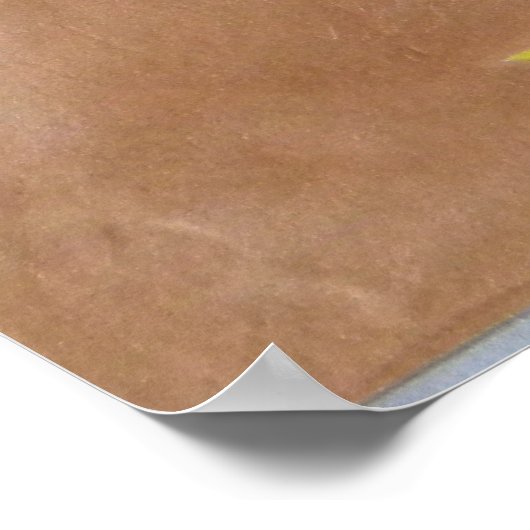 POSTER "ROUE MÉDECINE" (Coin)