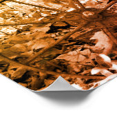 Poster Roue Roulette Roulette Rouille Jardin Noir Et Blan (Coin)