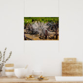 Poster Roues de Ranch Historique (Cuisine)