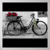 Poster Roues et oignons français (Devant)