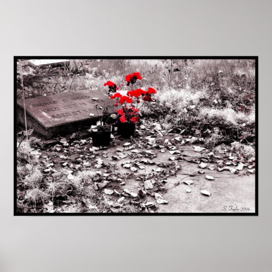 Poster Rouge (Devant)