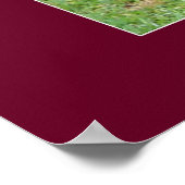 Poster Rouge 1970 (Coin)