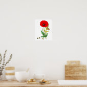 Poster rouge à fleurs #8 (Cuisine)