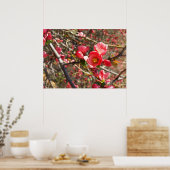 Poster rouge au printemps (Cuisine)