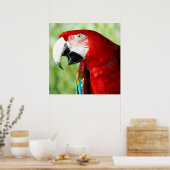 Poster Rouge brillant (Cuisine)