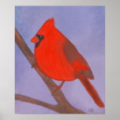 Poster rouge cardinal (Devant)