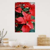 Poster Rouge clair Poinsettia Noël (Cuisine)