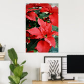 Poster Rouge clair Poinsettia Noël (Bureau à domicile)