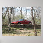 Poster Rouge cuivre (Devant)