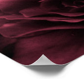 Poster Rouge de prune près d'une Bégonie double (Coin)