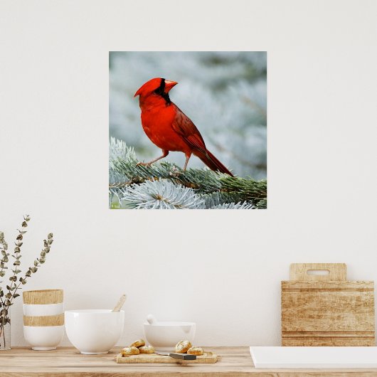 Poster Rouge d'oiseau (Cuisine)