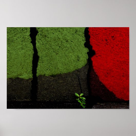 Poster Rouge et vert Abstrait Photographe Cool unique (Devant)