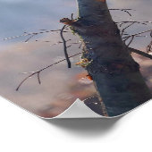 Poster Rouge-gorge (Coin)