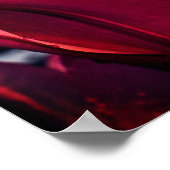 Poster Rouge Lily Flower Close (Coin)