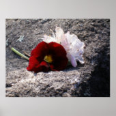 Poster Rouge-n-blanc (Devant)