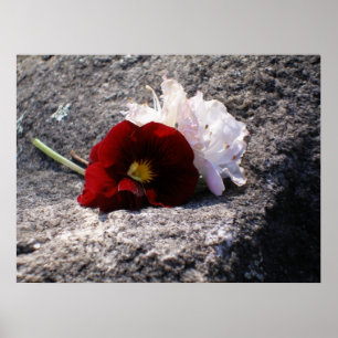 Poster Rouge-n-blanc